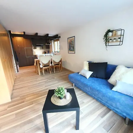 Bright Renovated Studio - 1 Min From The Slopes! Saas-Fee