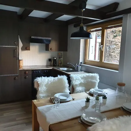 Bright Renovated Studio - 1 Min From The Slopes! Appartement *